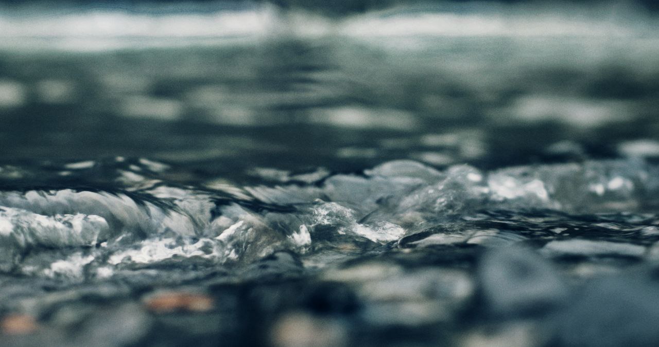 Nasakopajk, que explora la relación espiritual y cotidiana de la cultura zoque con la tierra